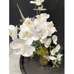 Kompozycja PREMIUM STORCZYKI BIAŁE 4x pędy w złotym wazonie LUX